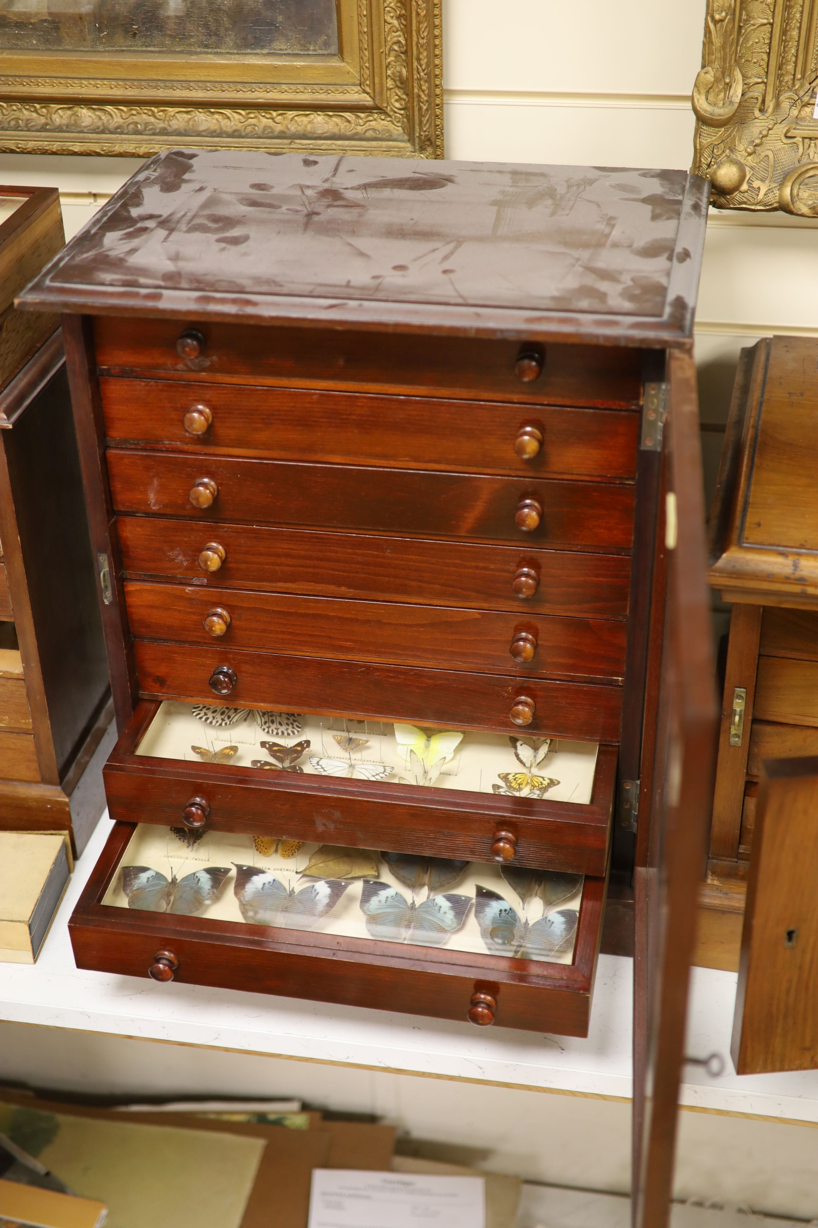 Victorian mahogany display collector’s cabinet of Asian moth and butterfly specimens, eight drawers, label for Janson & Sons, Gt, Russell St. London, 56cm high, 46cm wide